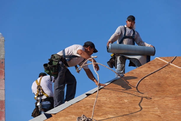 Best Gutter Installation and Roofing  in Amelia, LA