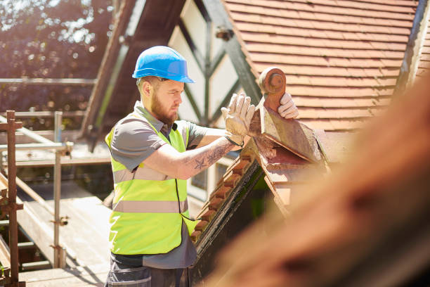 Professional Roofing Contractor in Amelia, LA